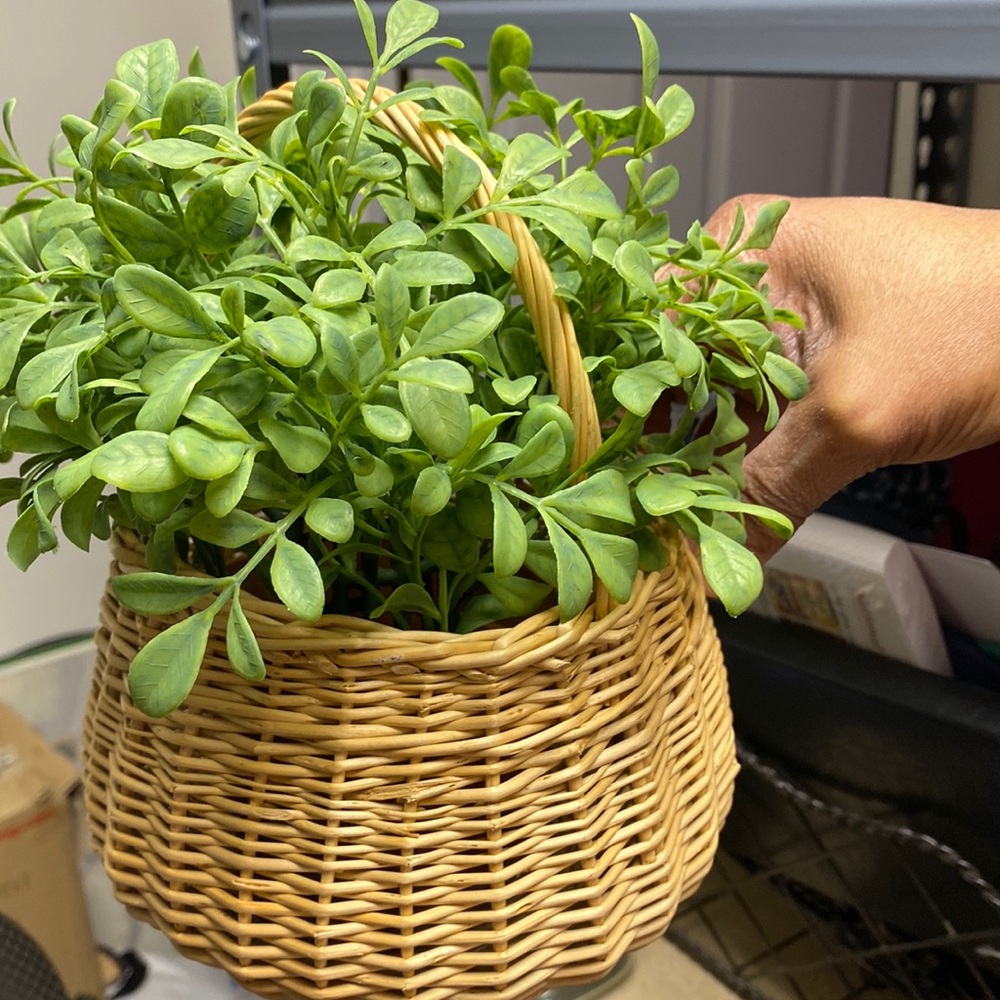 Basket and Artificial Plant